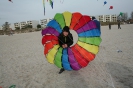 Drachenfest Fehmarn_26