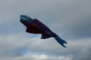 Nikolaus-Fliegen_32