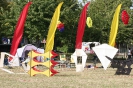 Drachenfest hannover 2016_20